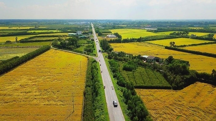 Từ bây giờ, chuyển đất trồng lúa sang đất ở trái phép sẽ chịu hậu quả gì?- Ảnh 1. Từ bây giờ, chuyển đất trồng lúa sang đất ở trái phép sẽ chịu hậu quả gì?- Ảnh 1.