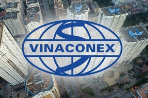 Lãi lớn 1.100 tỷ đồng, Vinaconex (VCG) chi gần 500 tỷ trả cổ tức