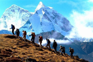 VN-Index tăng gần 250 điểm sau cú sốc thuế quan Mỹ, dấu ấn lớn từ nhóm BĐS