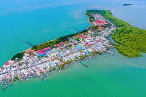 Lần đầu tiên một khu rừng ngập mặn tại Việt Nam được quy hoạch thành đô thị kiểu mẫu, 80% dùng năng lượng sạch